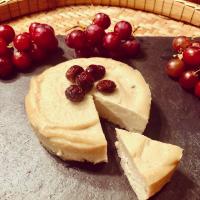Jane's Cheeze Mont Brequin Camembert Style