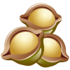 macadamia icon